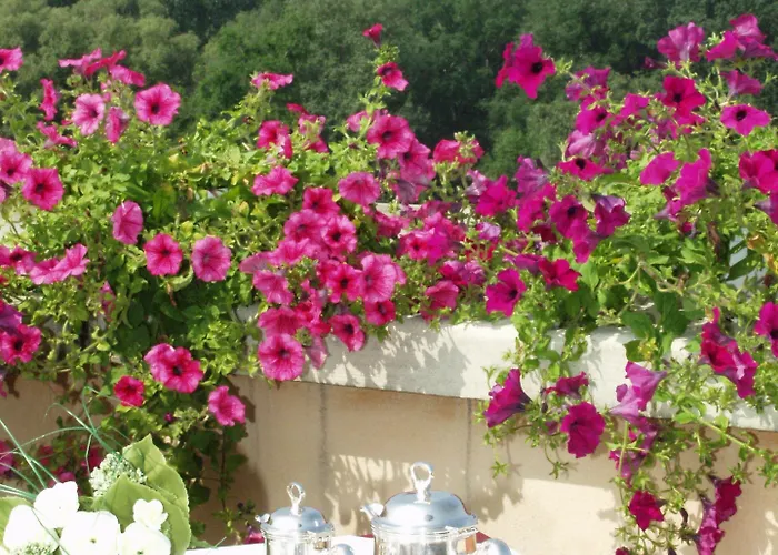 Western Biri Hotel 4*